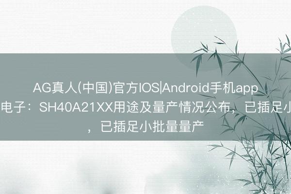 AG真人(中国)官方IOS|Android手机app下载 中颖电子：SH40A21XX用途及量产情况公布，已插足小批量量产
