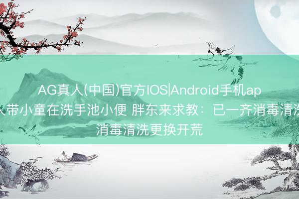 AG真人(中国)官方IOS|Android手机app下载 男人带小童在洗手池小便 胖东来求教：已一齐消毒清洗更换开荒