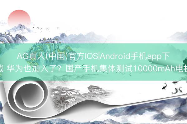 AG真人(中国)官方IOS|Android手机app下载 华为也加入了？国产手机集体测试10000mAh电板