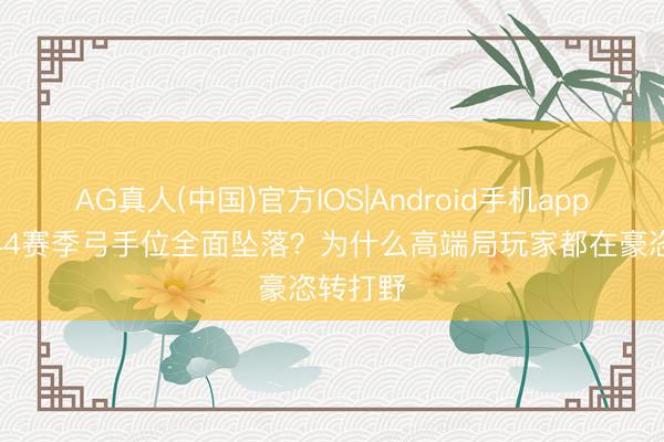 AG真人(中国)官方IOS|Android手机app下载 S44赛季弓手位全面坠落？为什么高端局玩家都在豪恣转打野
