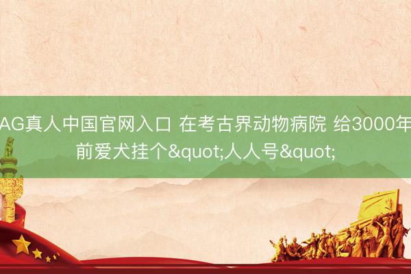 AG真人中国官网入口 在考古界动物病院 给3000年前爱犬挂个"人人号"