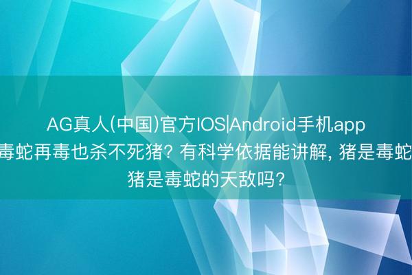 AG真人(中国)官方IOS|Android手机app下载 为何毒蛇再毒也杀不死猪? 有科学依据能讲解， 猪是毒蛇的天敌吗?