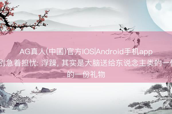 AG真人(中国)官方IOS|Android手机app下载 别急着担忧: 浮躁， 其实是大脑送给东说念主类的一份礼物