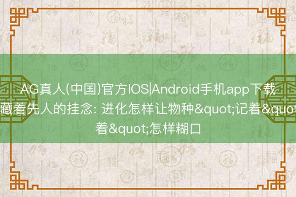 AG真人(中国)官方IOS|Android手机app下载 基因组里藏着先人的挂念: 进化怎样让物种"记着"怎样糊口