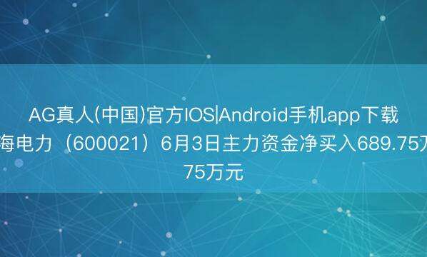 AG真人(中国)官方IOS|Android手机app下载 上海电力（600021）6月3日主力资金净买入689.75万元