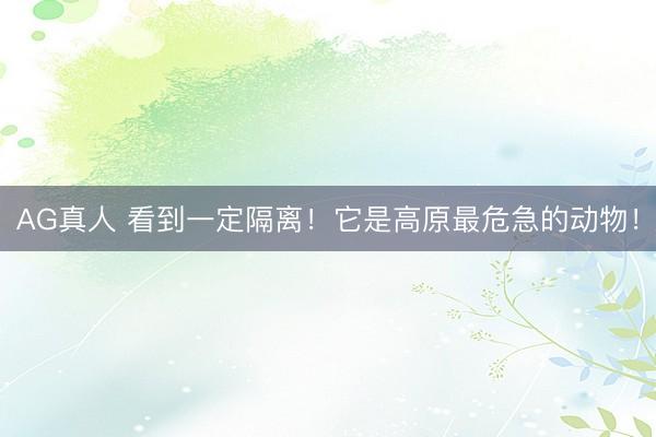 AG真人 看到一定隔离！它是高原最危急的动物！