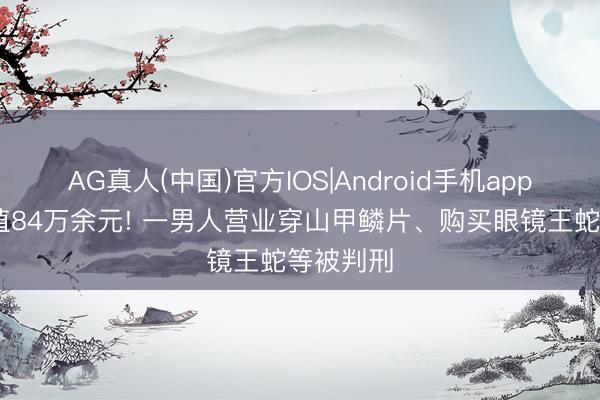AG真人(中国)官方IOS|Android手机app下载 案值84万余元! 一男人营业穿山甲鳞片、购买眼镜王蛇等被判刑