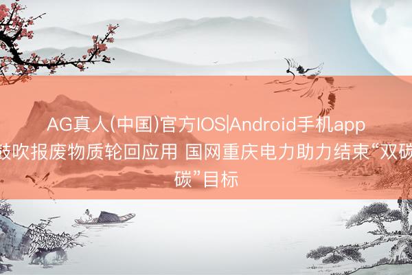 AG真人(中国)官方IOS|Android手机app下载 鼓吹报废物质轮回应用 国网重庆电力助力结束“双碳”目标