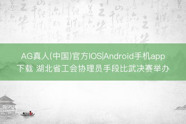 AG真人(中国)官方IOS|Android手机app下载 湖北省工会协理员手段比武决赛举办