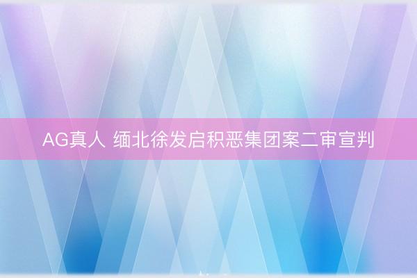 AG真人 缅北徐发启积恶集团案二审宣判