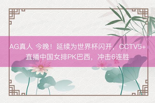 AG真人 今晚!延续为世界杯闪开,CCTV5+直播中国女排PK巴西,冲击6连胜